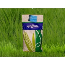 Насіння кукурудзи НК Термо