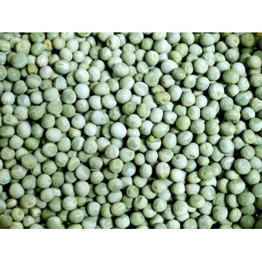 Горох озимий Авирон (зеленый)