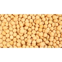 Горох озимий Баллтрап (1-ша репродукція)
