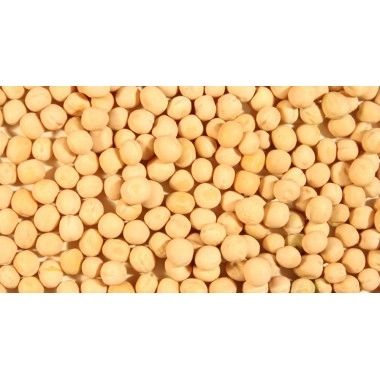 Горох озимий Баллтрап (1-ша репродукція)