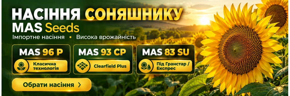 Насіння соняшнику
