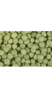 Горох  Зекон (Ярий)