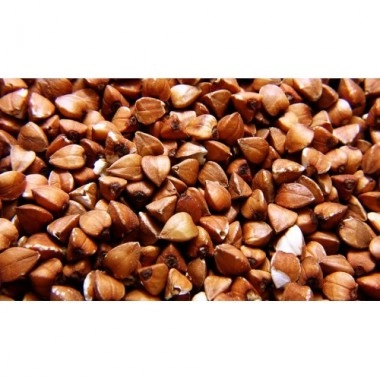 Посівний матеріал гречка Гренбі