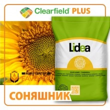 Гібрид соняшнику ES GENESIS CLP*(G) Генезіс