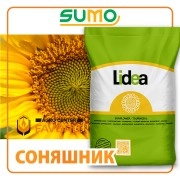 Гібрид соняшнику ЄС Агора від Лідеа (A-G) ES AGORA