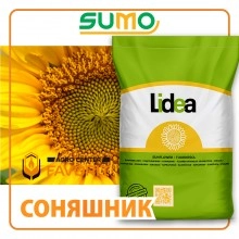 Гібрид соняшнику ЄС Ісіда від Лідеа (A-G) ES ISIDA