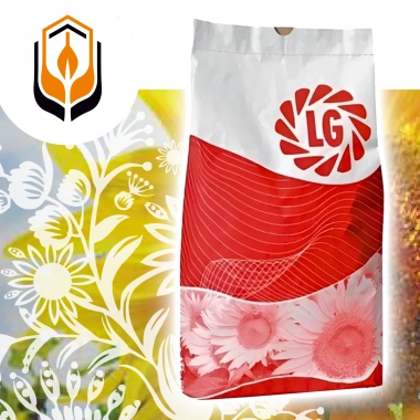 Насіння соняшника, гібрид ЛГ 50779 СХ Круїзер