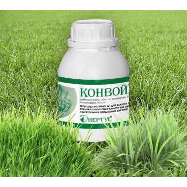 Гербіцид системний Конвой (трибенурон-метил, 300)