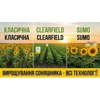 Вирощування соняшника - всі технології: КЛАСИЧНА CLEARFIELD SUMO