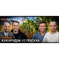 Кукурудза-2025: Як перетворити хаос на маржу, коли GPS «в Лімі», а стратегії минулого мертві