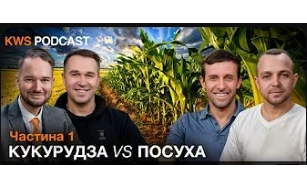 Кукурудза-2025: Як перетворити хаос на маржу, коли GPS «в Лімі», а стратегії минулого мертві