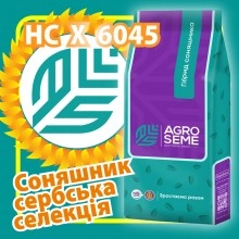 Насіння соняшнику НС X 6045 CLEARFIELD Насіння соняшнику НС X 6045 CLEARFIELD
