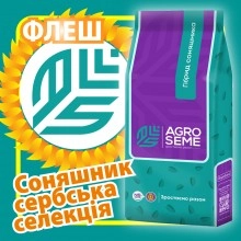 Насіння соняшнику НС Флеш Сумо/Гранстар Насіння соняшнику НС Флеш Сумо/Гранстар