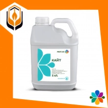 Кайт, РК, 5л Кайт, РК, 5л