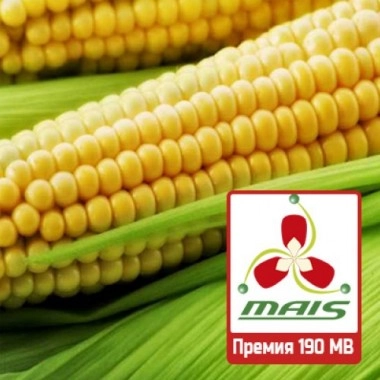 Насіння кукурудзи Премія 190 МВ (ФАТ 190)