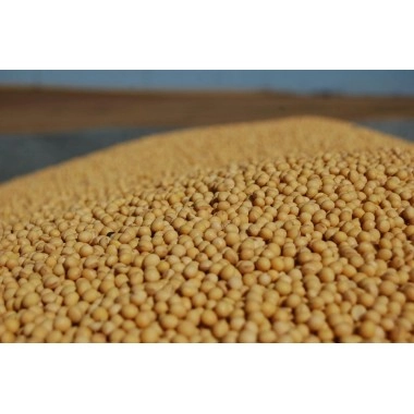 Семена сои сорт Оксана (поздняя соя 110-120 дней)