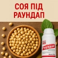 Соя під раундап (29)