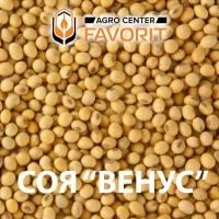 Сорт сої Венус – ваш шлях до високих врожаїв