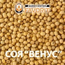 Соя сорт Венус Соя сорт Венус