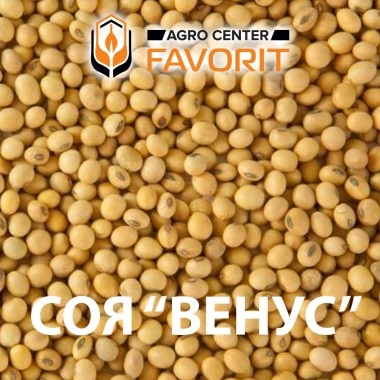 Соя сорт Венус 