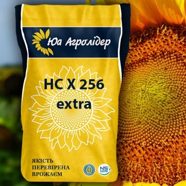 Насіння соняшнику НС Х 256 Екстра ІМПОРТ